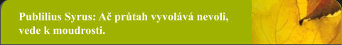 Publilius Syrus: Ač průtah vyvolává nevoli, vede k moudrosti.